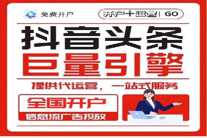 竞价排名案例：优化广告预算分配